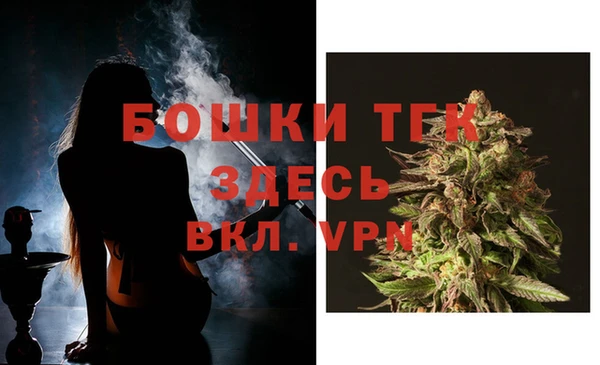PSILOCYBIN Елабуга