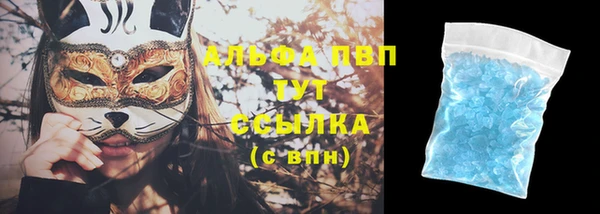 тгк Ельня