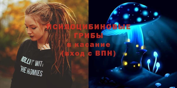 тгк Ельня