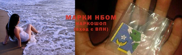тгк Ельня