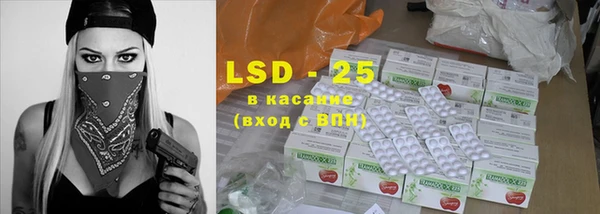 PSILOCYBIN Елабуга