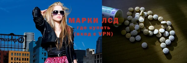 PSILOCYBIN Елабуга