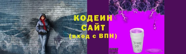 тгк Ельня