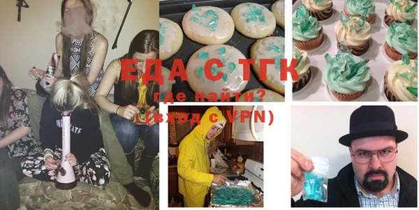 тгк Ельня