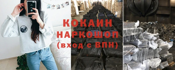 PSILOCYBIN Елабуга
