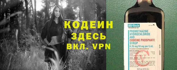 тгк Ельня