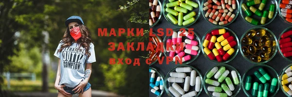 тгк Ельня