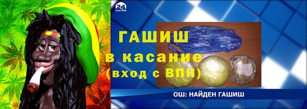 тгк Ельня