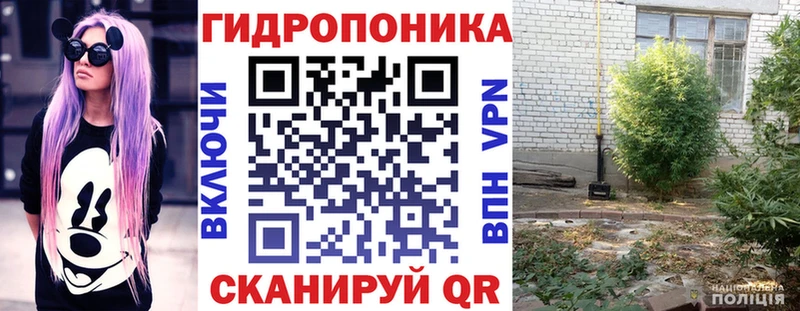 Купить где  Северо-Курильск  Марихуана Ganja 